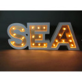 LED Light Holiday Decorations with Letter